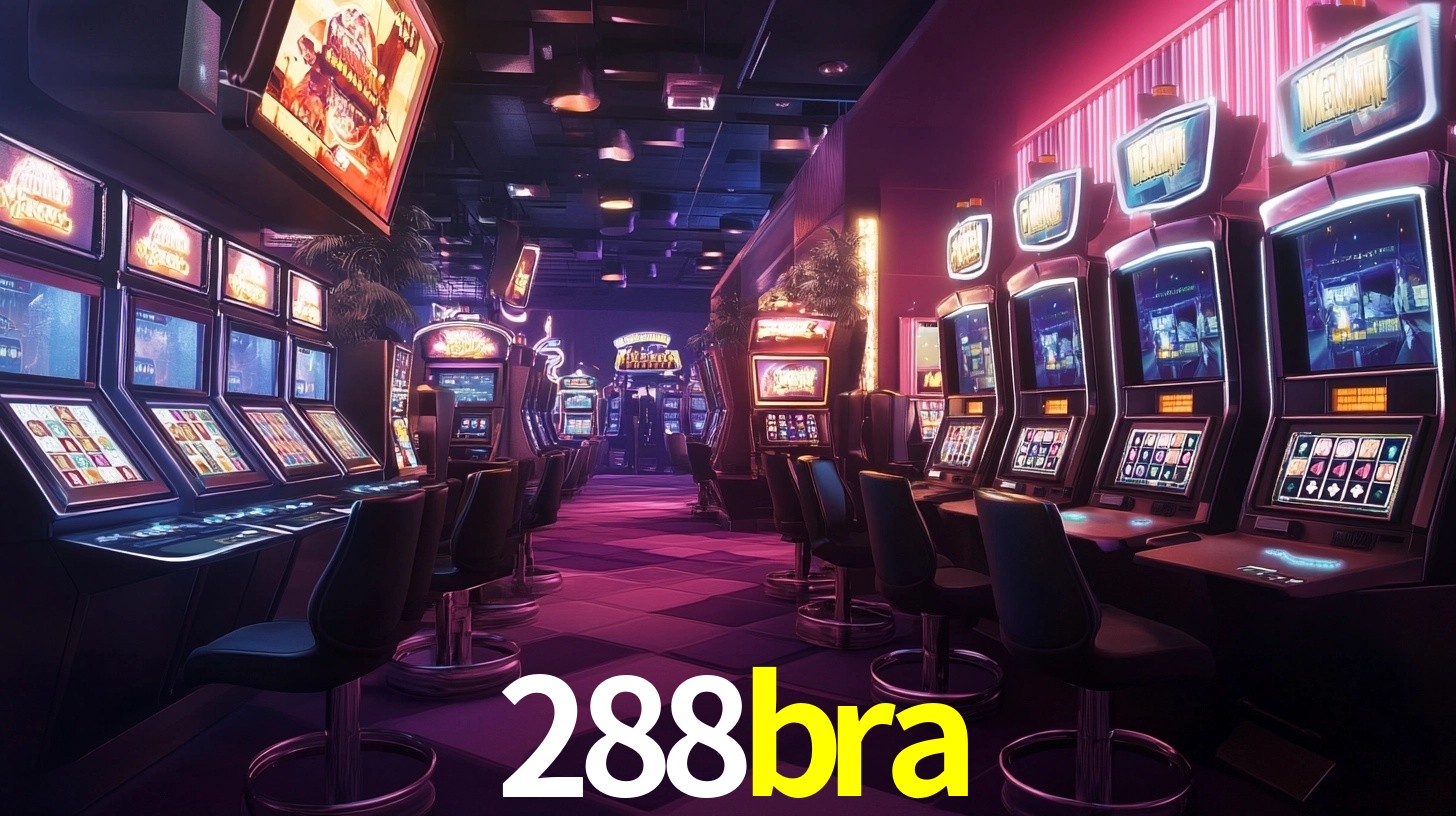 288bra App Interface